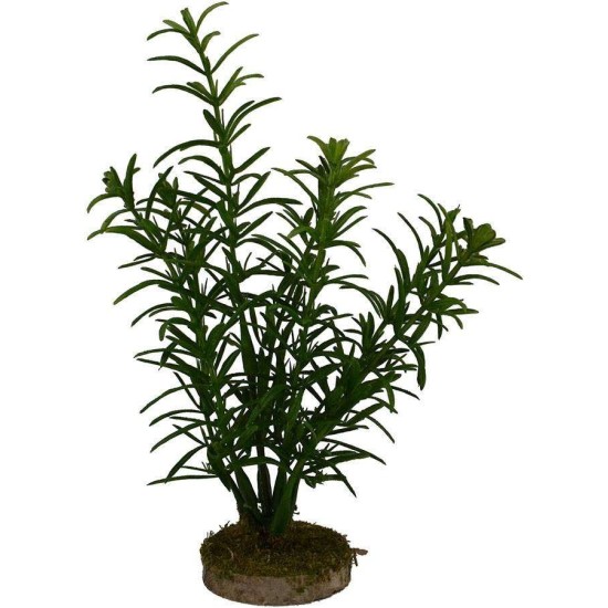 Bush 14 cm