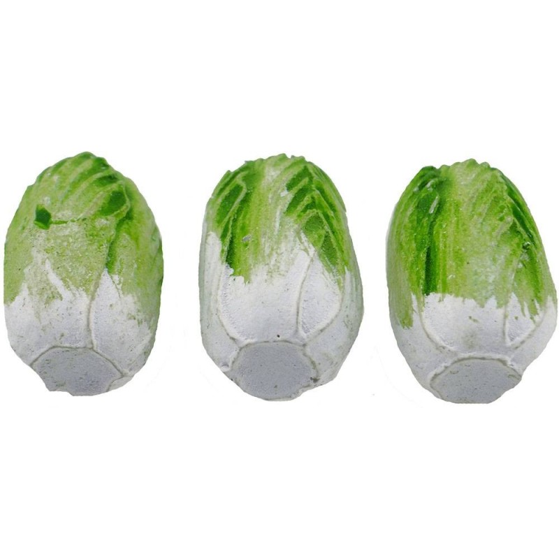 Set 3 chicory 2.6 cm