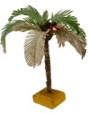 Palmera con hojas bicolores disponible en varias alturas: Mundo