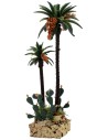 Palme and cactus h. 20-12 cm