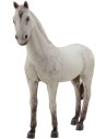 Cavallo bianco in resina per statue da 30 cm Mondo Presepi