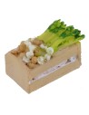 Resin box with vegetables cm 3x2x2 h.