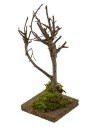 Albero h. 18 cm Mondo Presepi