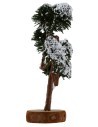 Tree with grafted chioma h. 13 cm