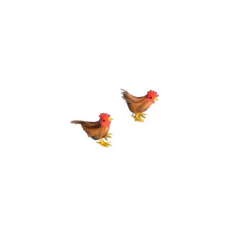 Set of 2 feathered hens - 4465