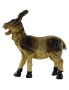 Piebald goat head high for statues 10-12 cm