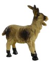 Piebald goat head high for statues 10-12 cm