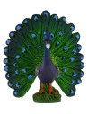 Peacock cm 6x6,6h
