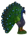 Peacock cm 6x6,6h