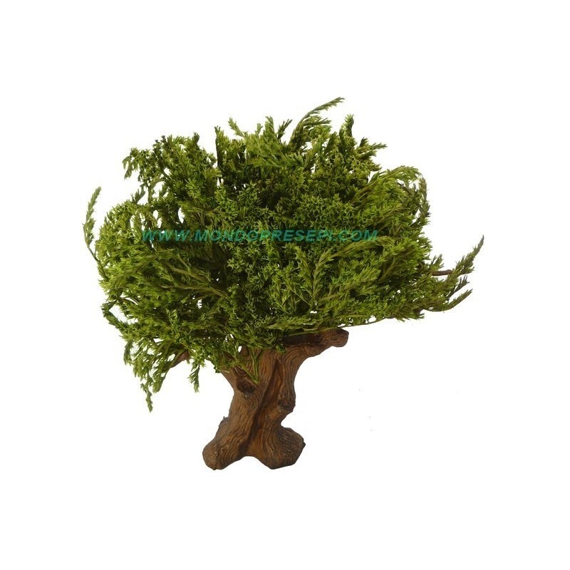 Árbol 25-27 cm hojas Verdes Mondo Presepi