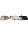 Set of three sleeping cats in resin for statues 12 cm