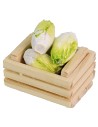 Box with chicory 3.5x2.5x3.2 cm h