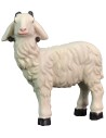 Set of 5 resin sheep for statues of 11-13 cm