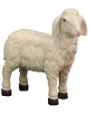 Set of 4 resin sheep for statues of 20-24 cm