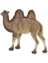 Camel with resin cape cm 45x14x38 h