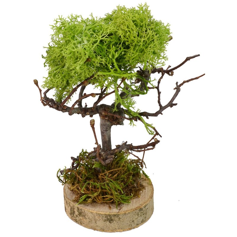 Árbol verde cm 7x6x16 h Mundo Belenes