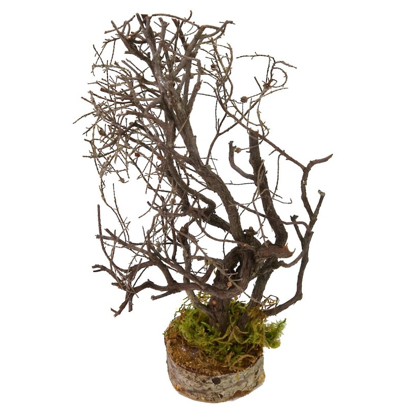 Árbol con ramas cm 5x5x19 h Mundo Belenes