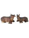 Ox and donkey set in resin for Nativity 8 cm