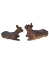 Ox and donkey set in resin for Nativity 8 cm