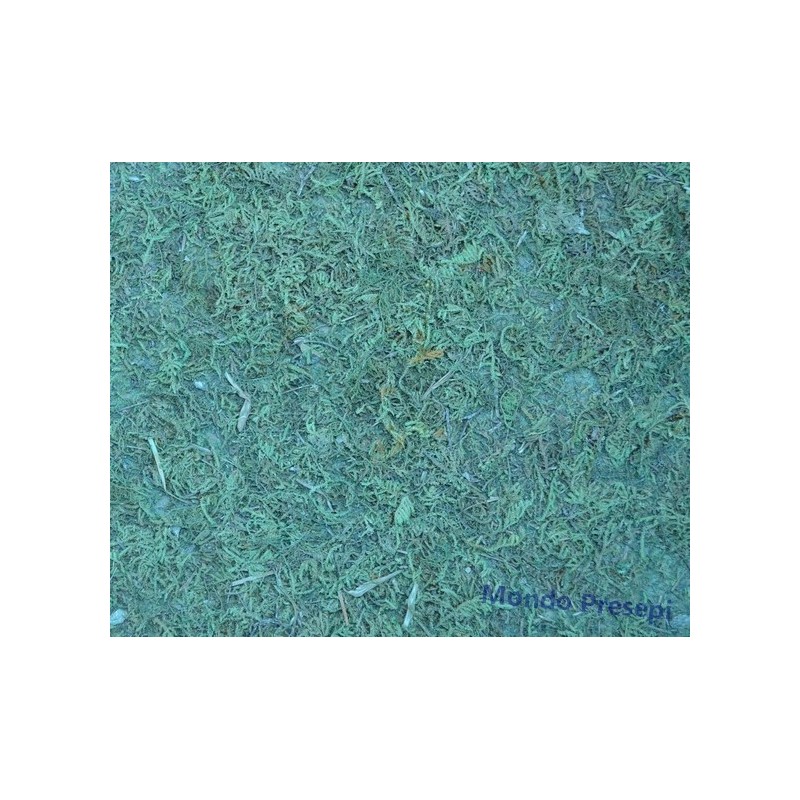 Hoja de musgo 75x50 cm Mundo Belenes