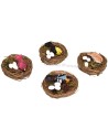 Nest with bird and eggs - assorted colors