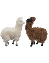 Coppia di alpaca con lana per statue cm 10-12 h altezza