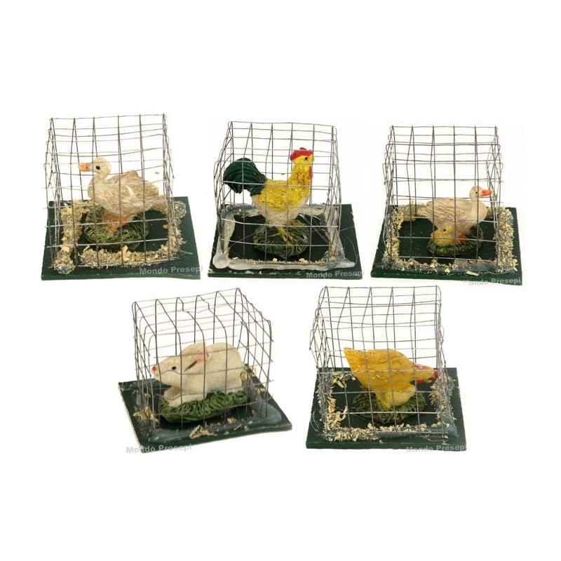 Cage 4.5x3.5x3 cm h. with: