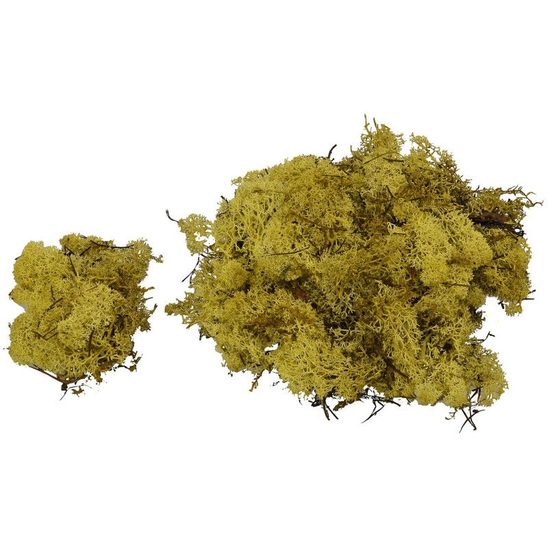 Líquenes amarillo-verde 150 gr Mundo Pesebres