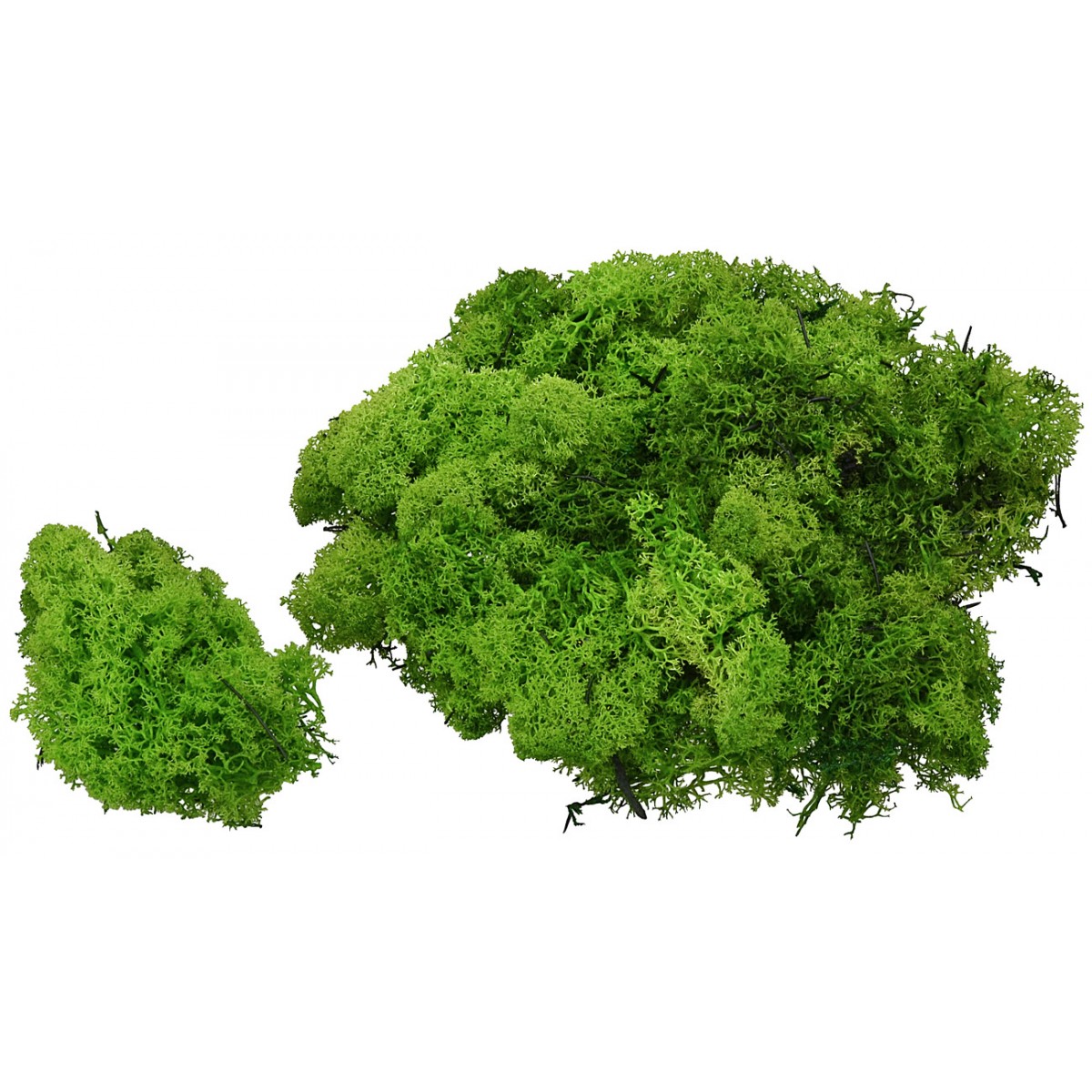 Lichen green 1 kg Art. LVKG Mondo Presepi