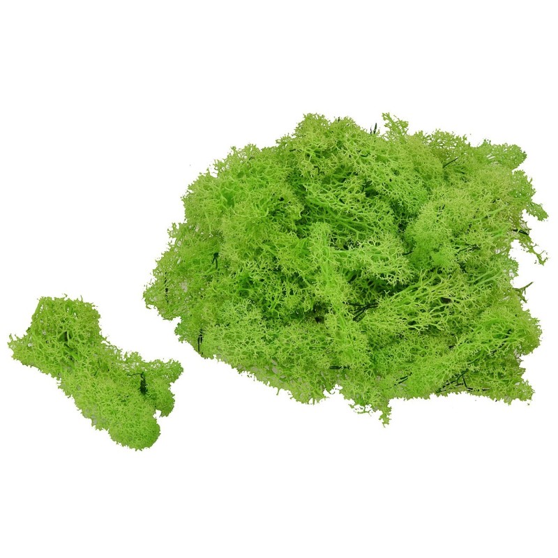 Líquenes verde claro 1 kg. verde, claro, líquenes, natural