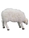 Low head sheep with wool for statues 50-60 cm