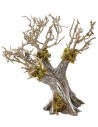 Albero d’ulivo secolare cm 10x15 h Mondo Presepi