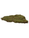 Musgo pesebre alfombra natural 200 gr. - para pesebre Mondo