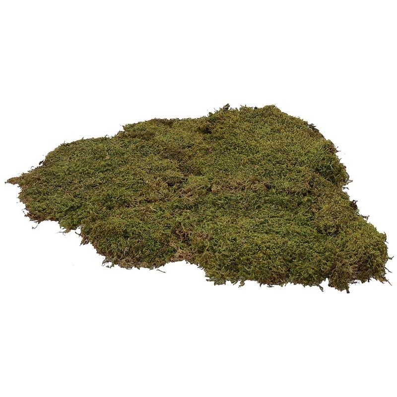 Musgo pesebre alfombra natural 200 gr. - para pesebre Mondo