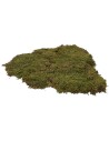 Musgo pesebre alfombra natural 200 gr. - para pesebre Mondo