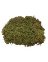 Musgo pesebre alfombra natural 200 gr. - para pesebre Mondo