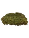 Musgo pesebre alfombra natural 200 gr. - para pesebre Mondo