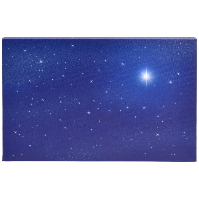 Cielo estrellado de fibras ópticas cm 30x20x1,7 Mundo Belenes