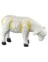 copy of Sheep head low for statues 30 cm