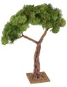 Albero con chioma e base cm 8x8x31 h piante, chioma, base