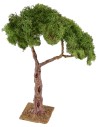 Albero con chioma e base cm 8x8x31 h piante, chioma, base