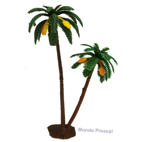 Double palm 22-16 cm