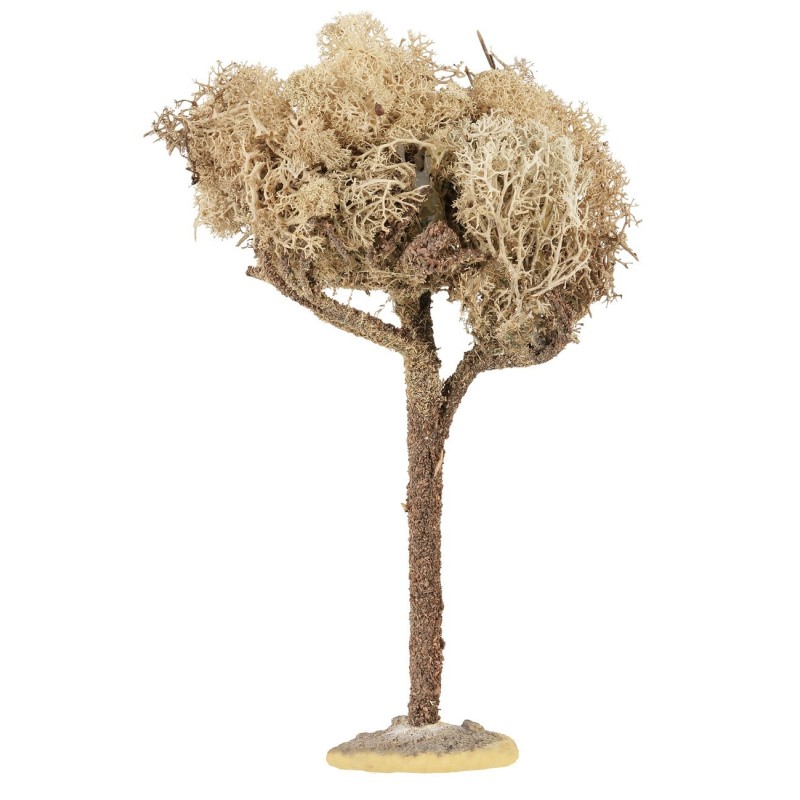 Albero con chioma h 20 cm