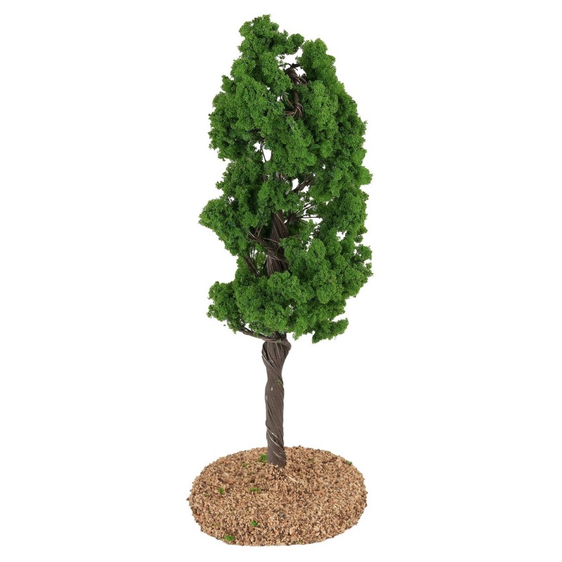 Albero di pioppo h 17 cm olive trees, olive tree, plant