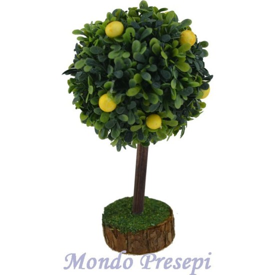 Pianta Limoni cm 10 Mondo Presepi