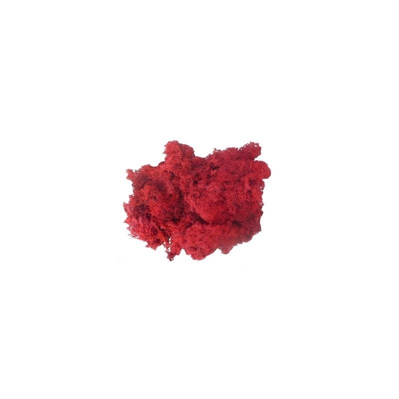 Lichene rosso 1 Kg Mondo Presepi